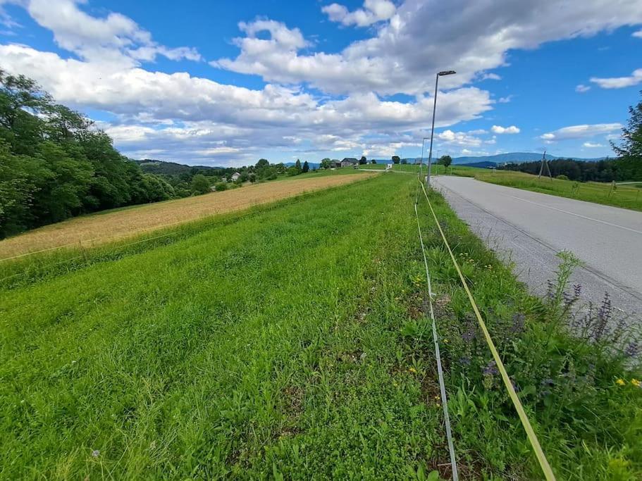 Pod Vinogradi Appartement Skocjan  Buitenkant foto