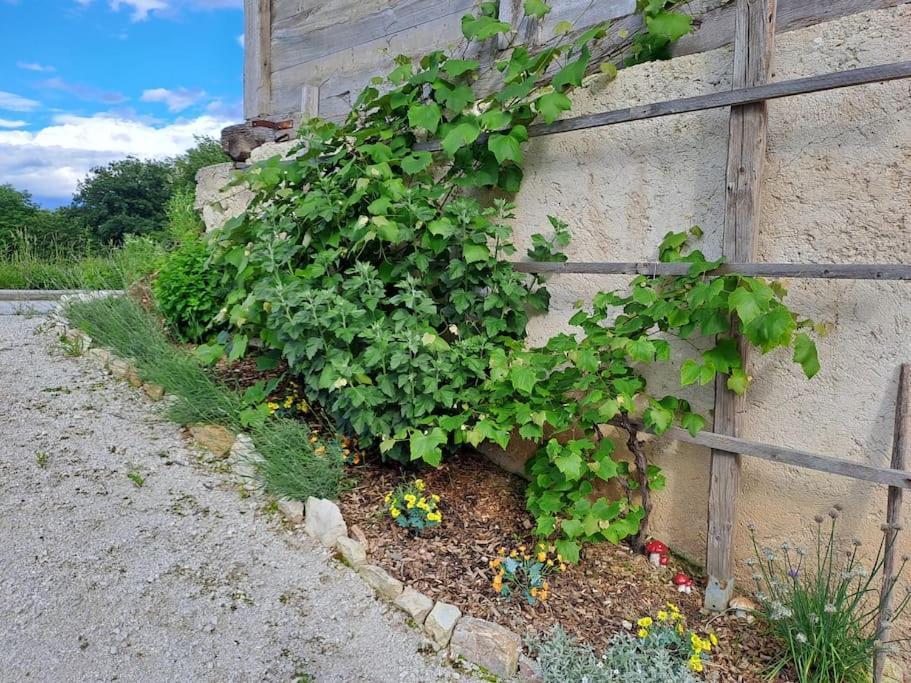 Pod Vinogradi Appartement Skocjan  Buitenkant foto