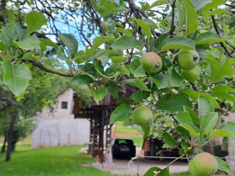 Pod Vinogradi Appartement Skocjan  Buitenkant foto