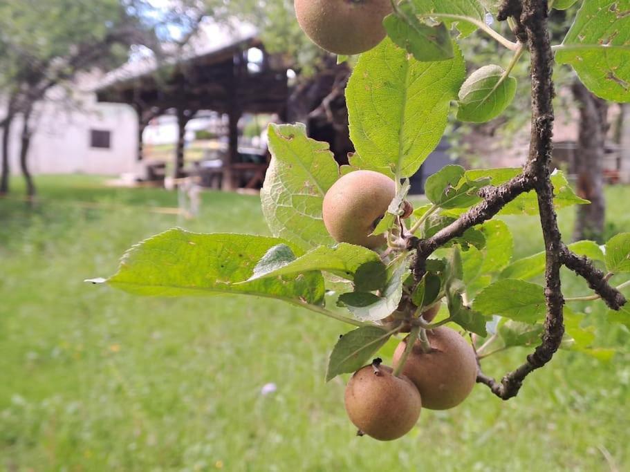 Pod Vinogradi Appartement Skocjan  Buitenkant foto