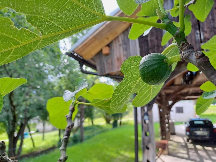 Pod Vinogradi Appartement Skocjan  Buitenkant foto