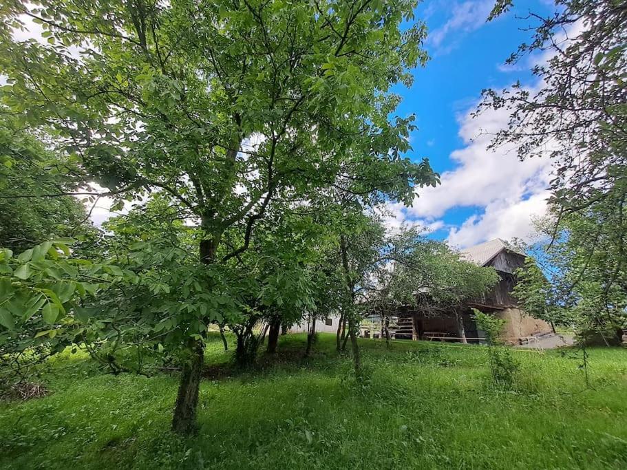 Pod Vinogradi Appartement Skocjan  Buitenkant foto